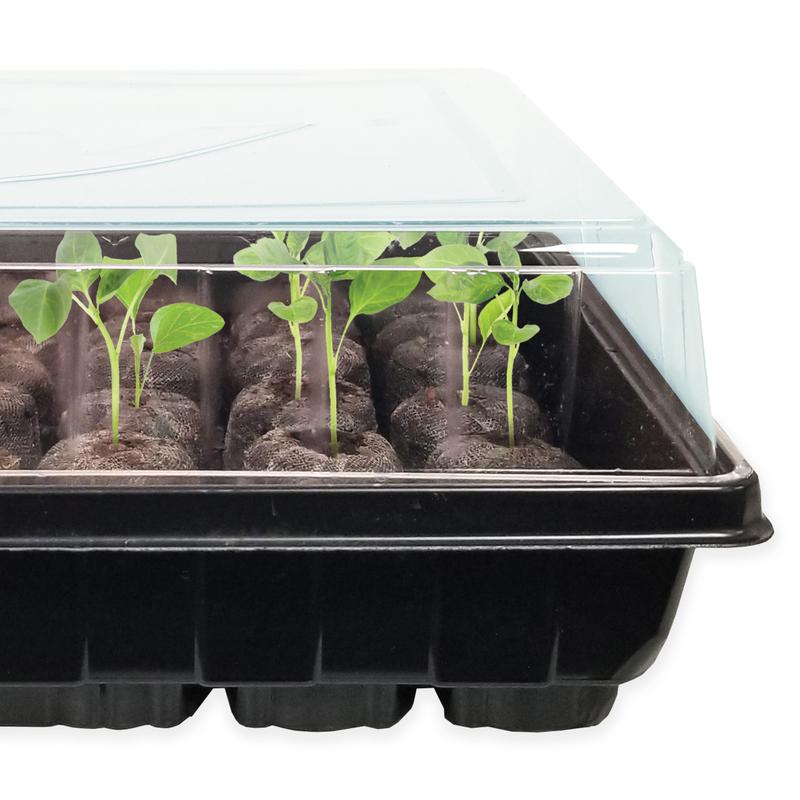 Seed Starting Windowsill Greenhouse – Jiffy – 10 Peat Pellets
